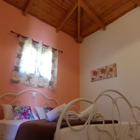 Prázdninový dům Olea Village
