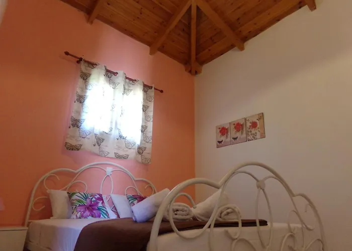 Dom wakacyjny Olea Village